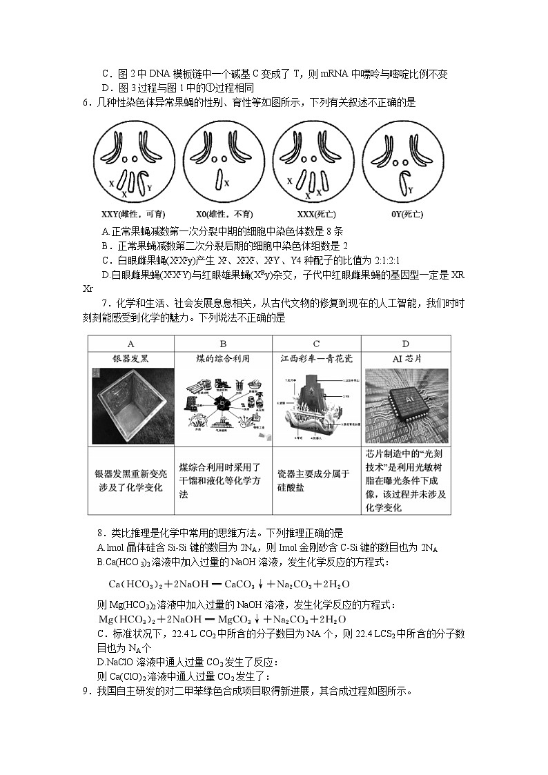 2020届河南省六市（南阳市、驻马店市、信阳市、漯河市、周口市、三门峡市）高三第一次模拟调研理科综合试题02
