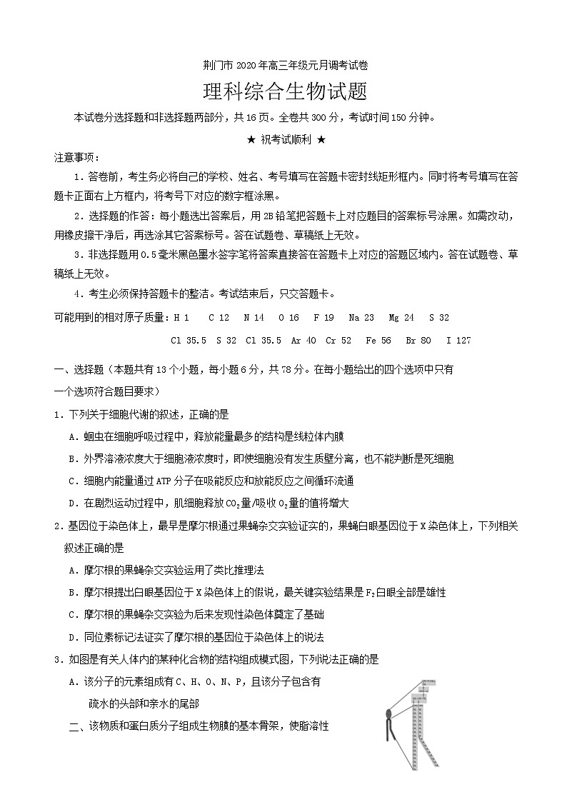 2020届湖北省荆门市高三元月调考理综试题第1页