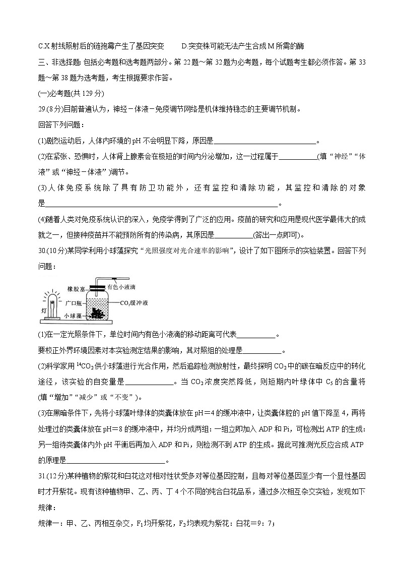 2020届湖南省永州市高三上学期第二次模拟考试 理综02