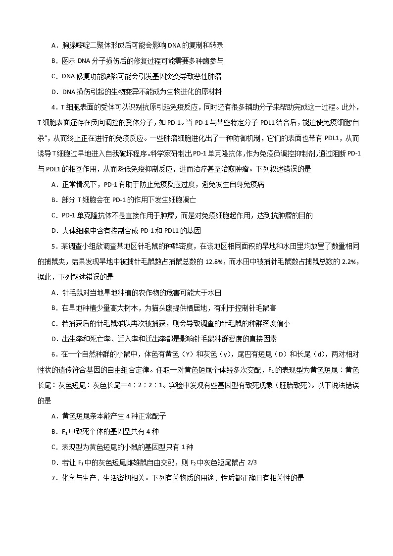 2020届吉林省白城市第四中学高三下学期网上模拟考试理科综合试题02
