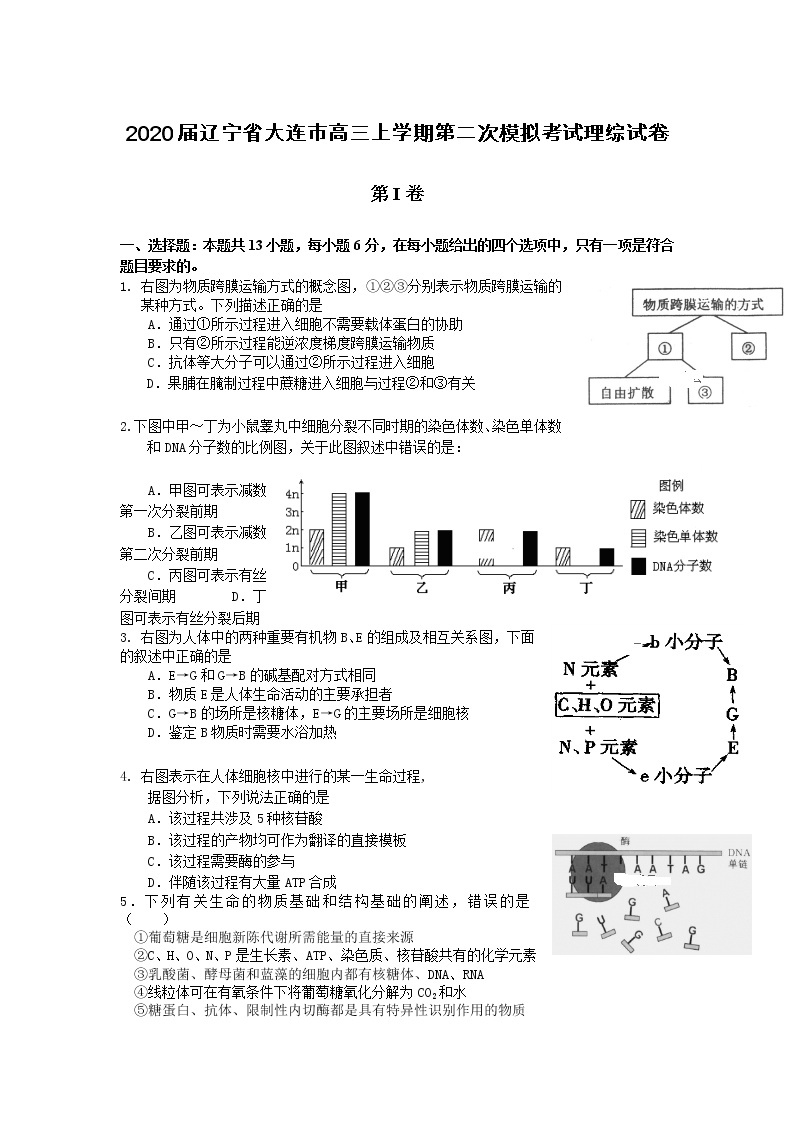 2020届辽宁省大连市高三上学期第二次模拟考试理综试卷01