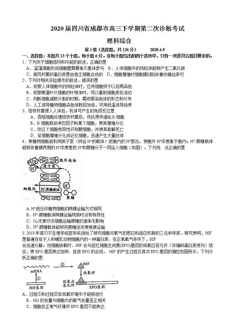 2020届四川省成都市高三下学期第二次诊断考试  理科综合01