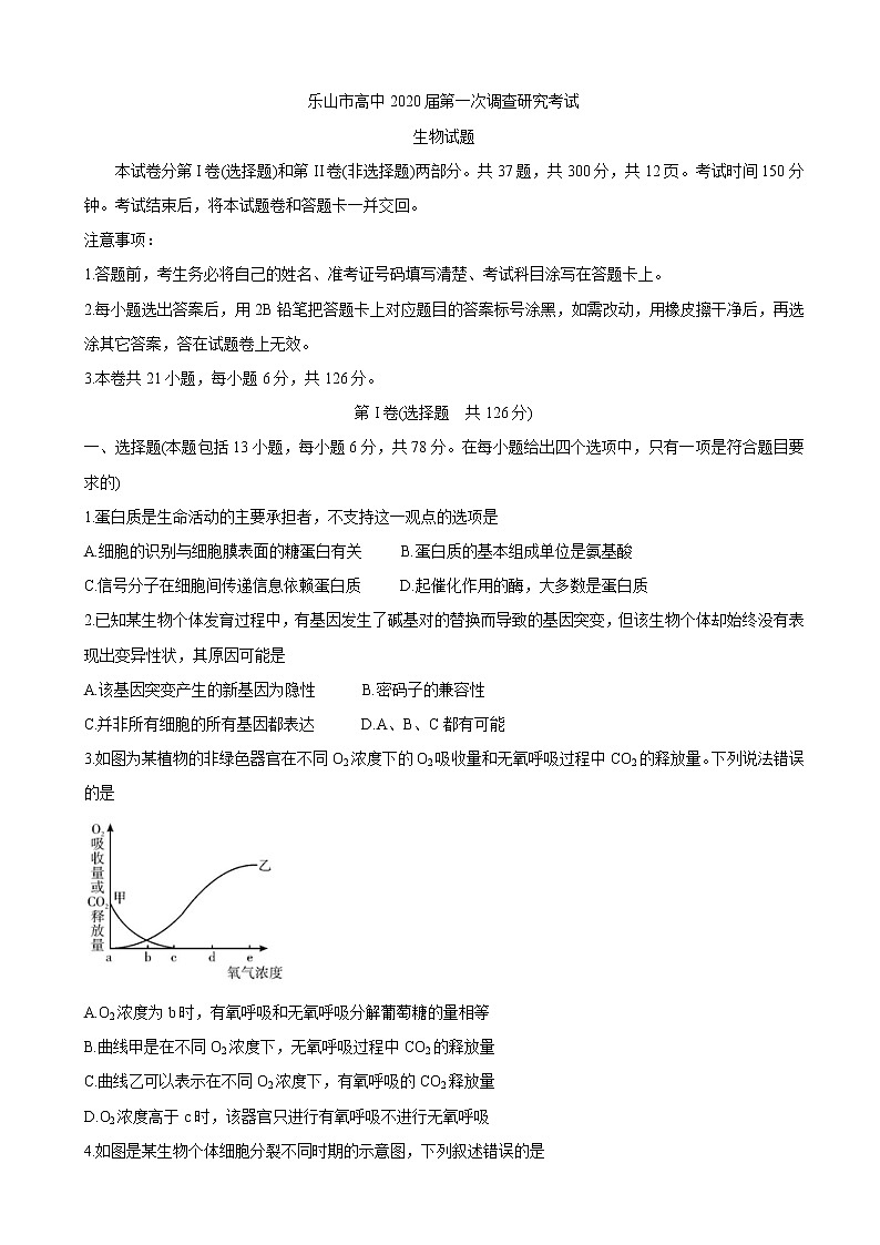 2020届四川省乐山市高三上学期第一次调查研究考试（12月） 理综01