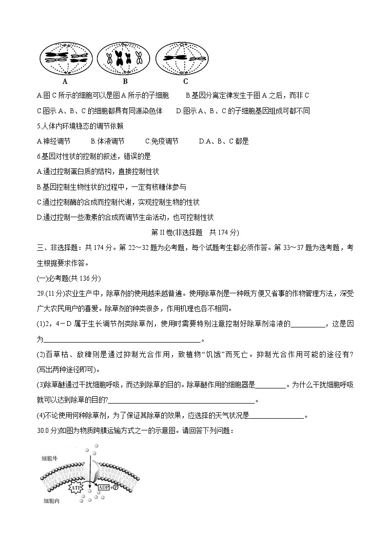 2020届四川省乐山市高三上学期第一次调查研究考试（12月） 理综02