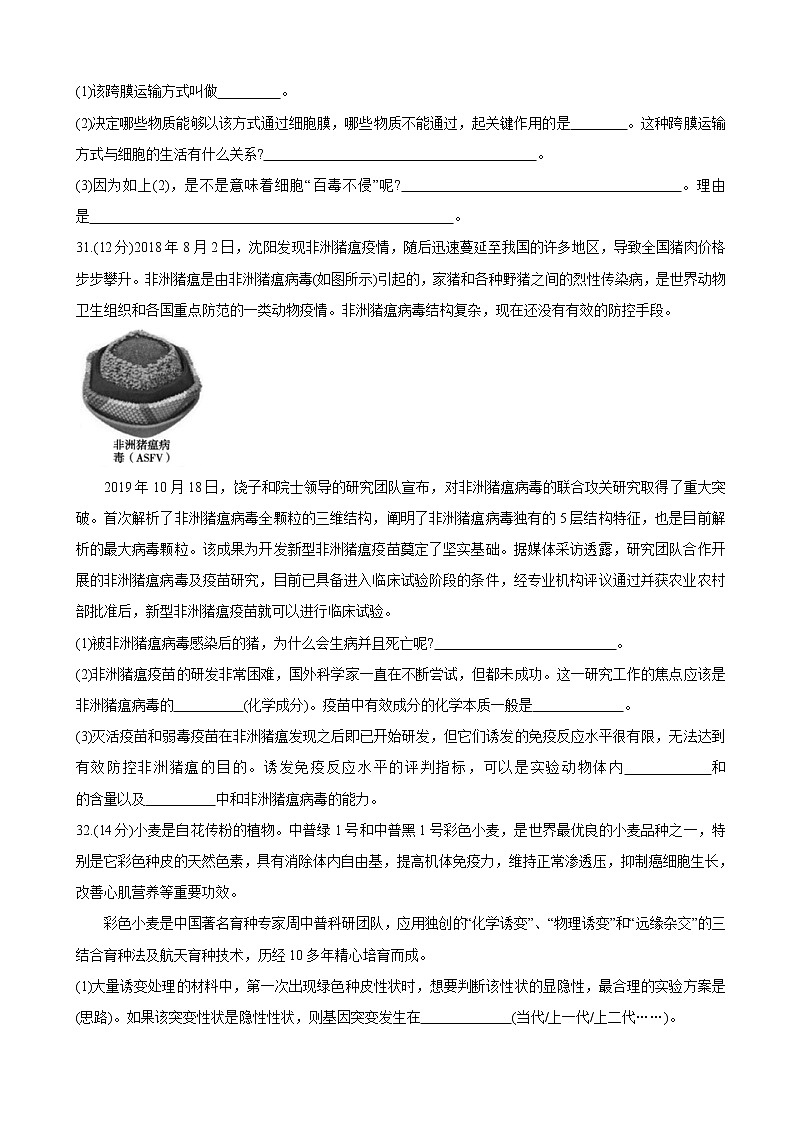 2020届四川省乐山市高三上学期第一次调查研究考试（12月） 理综03