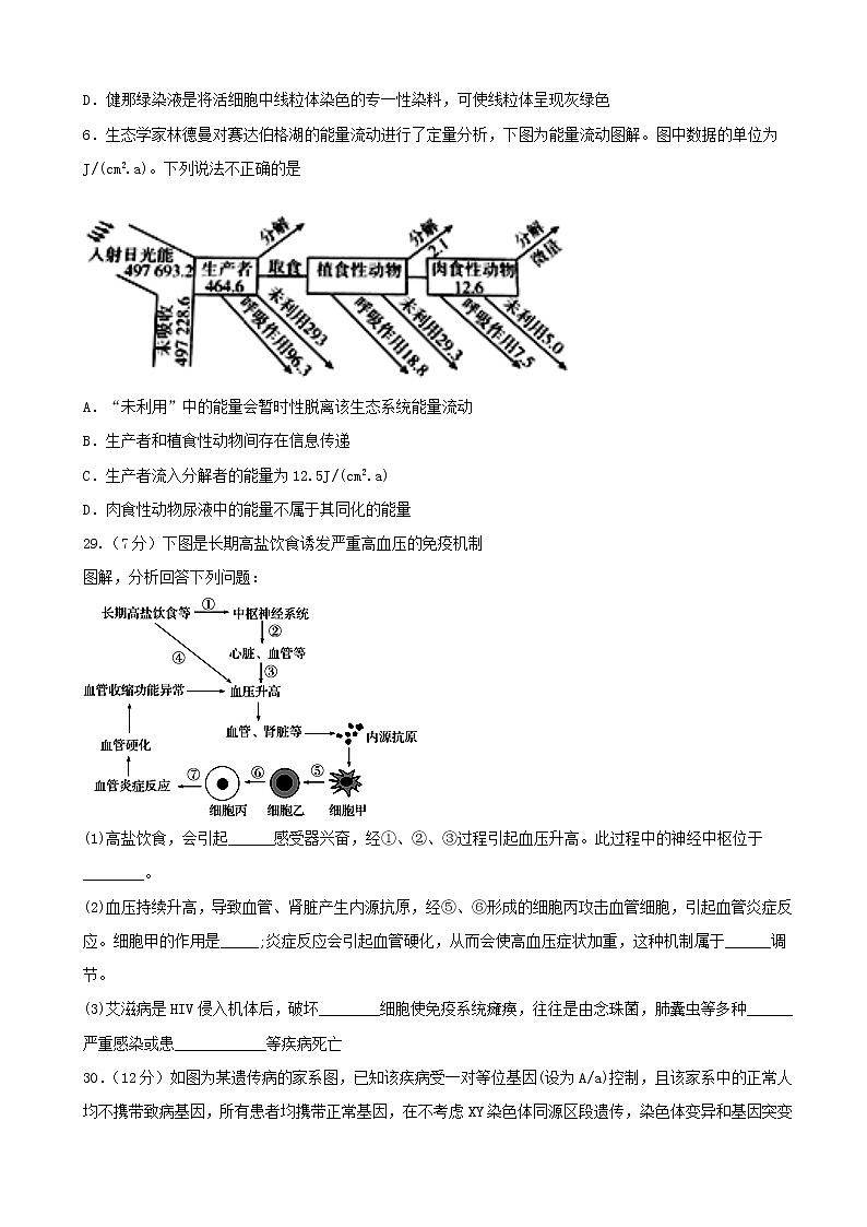 2020届四川省宜宾市叙州区第一中学高三一诊模拟理综试题02