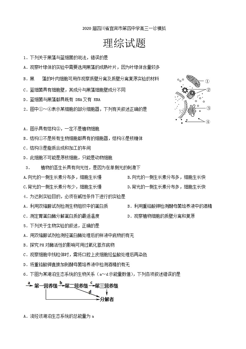 2020届四川省宜宾市第四中学高三一诊模拟理综试题01