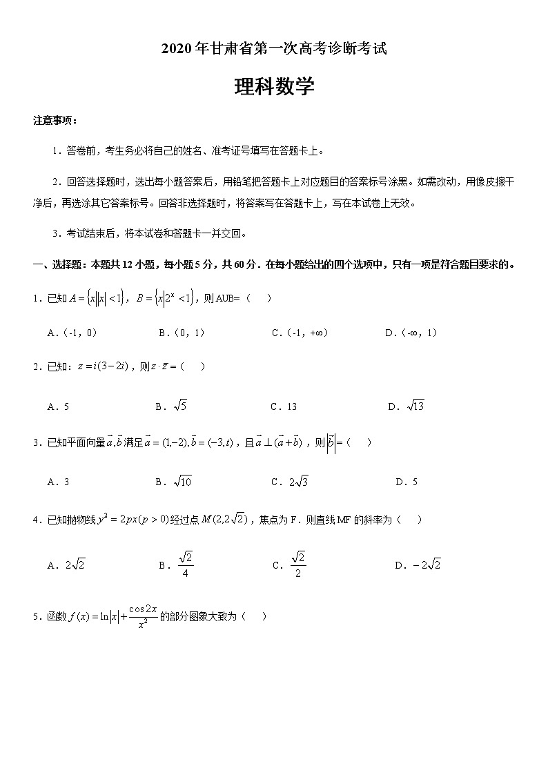 2020年甘肃省高三第一次高考诊断考试理科数学试题第1页