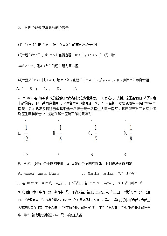 宁夏石嘴山市第三中学2020届高三高考第五次模拟考试数学（理）试题02
