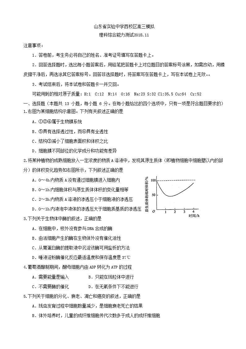 2019届山东省实验中学（西校区）高三11月模拟考试理科综合试题01