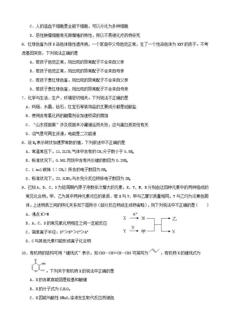 2019届山东省实验中学（西校区）高三11月模拟考试理科综合试题02