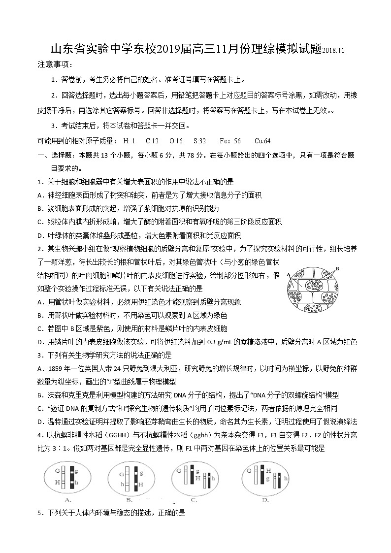 2019届山东省实验中学东校高三上学期11月份理综模拟试题01