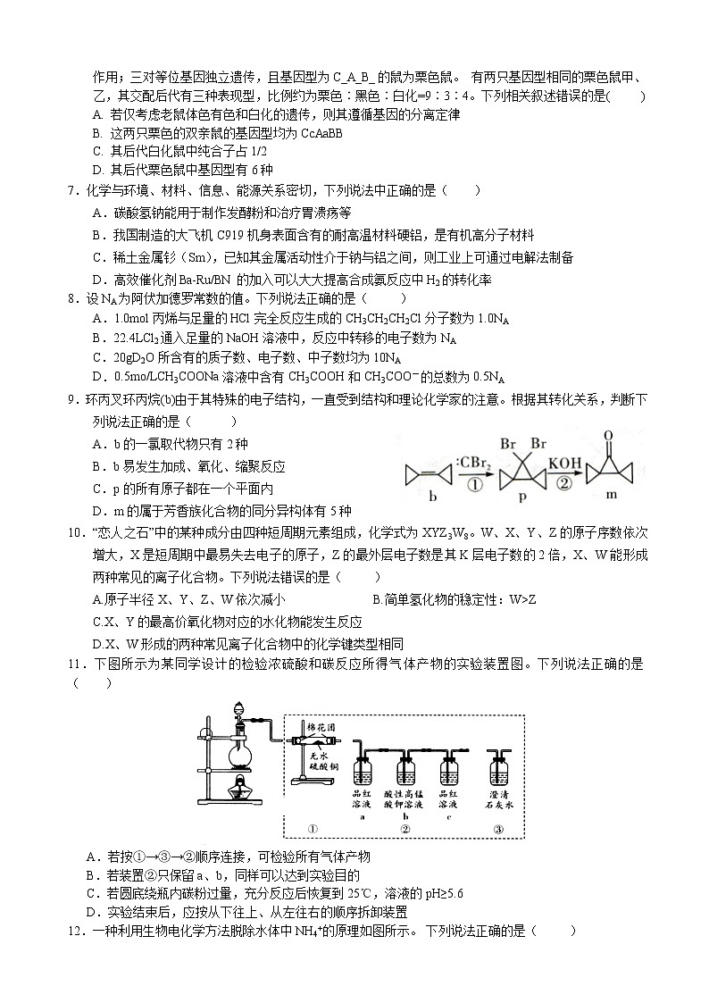 2019届江西省上饶市玉山一中高三考前模拟理综试卷第2页
