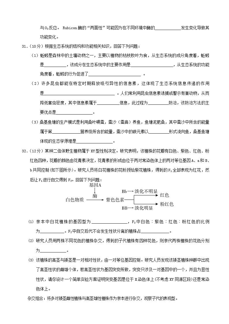 2019届辽宁省抚顺市高三第一次模拟考试理综试题03