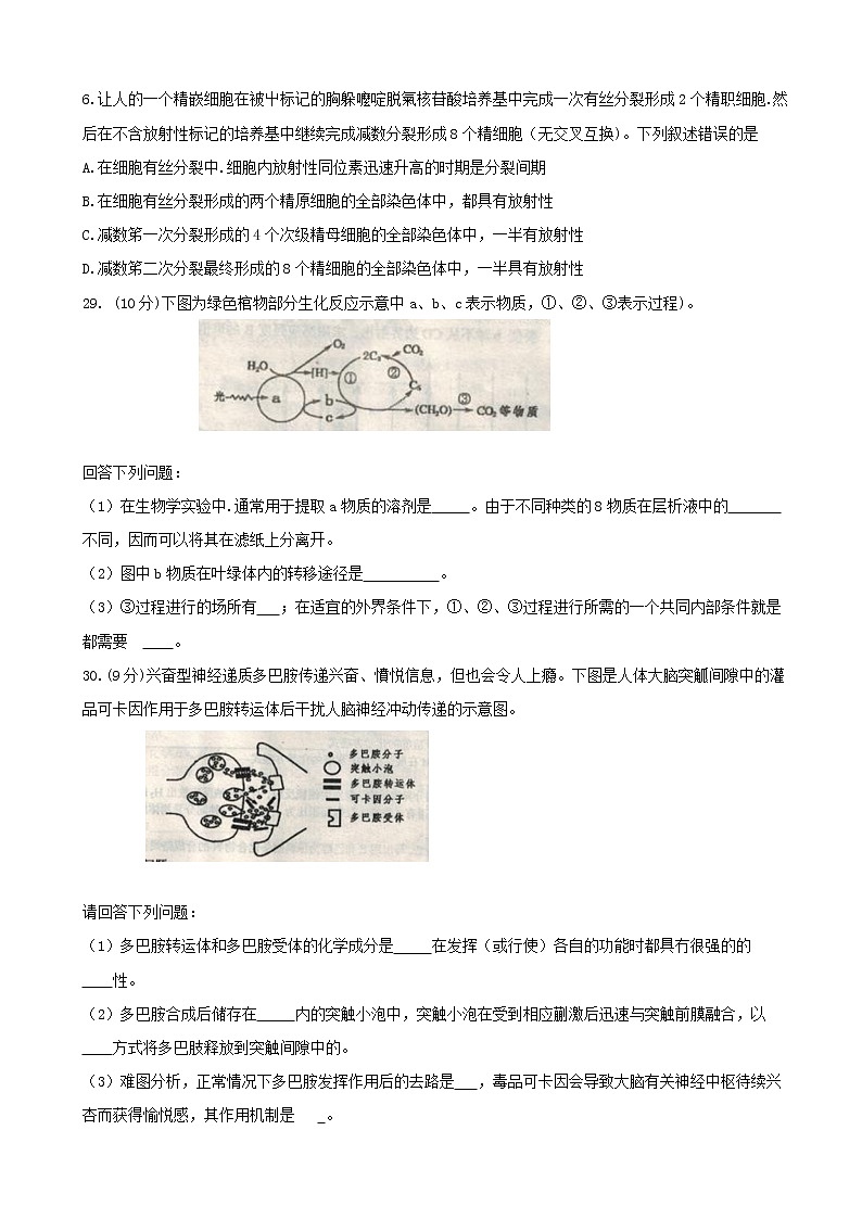 2019届辽宁省葫芦岛市高三下学期第一次模拟考试 理综02