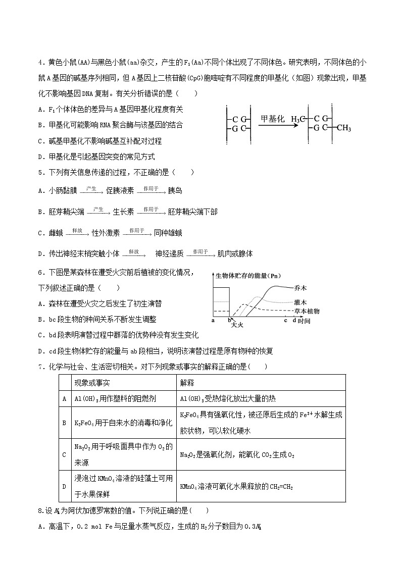 2019届辽宁省沈阳市东北育才学校高三第八次模拟理综试题（word版）02