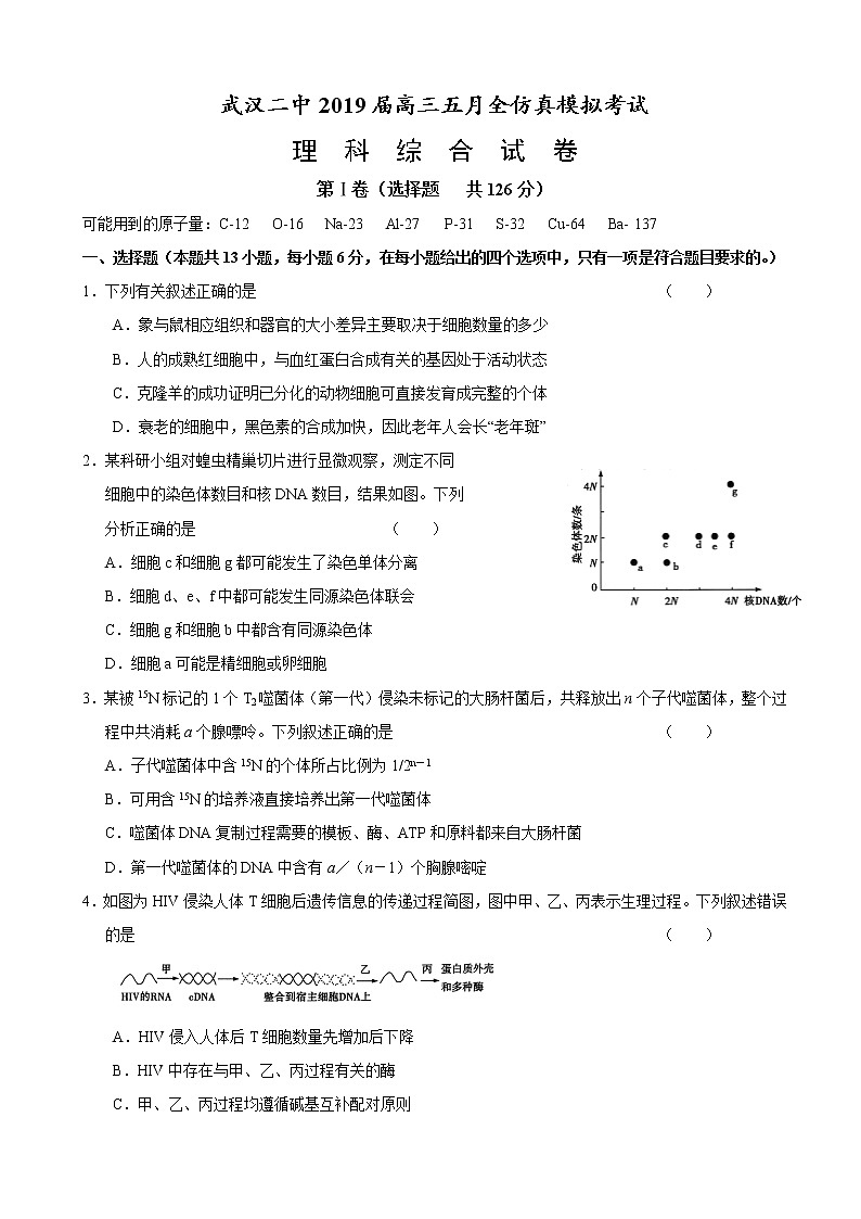 2019届湖北省武汉二中高三5月仿真模拟理科综合试题第1页