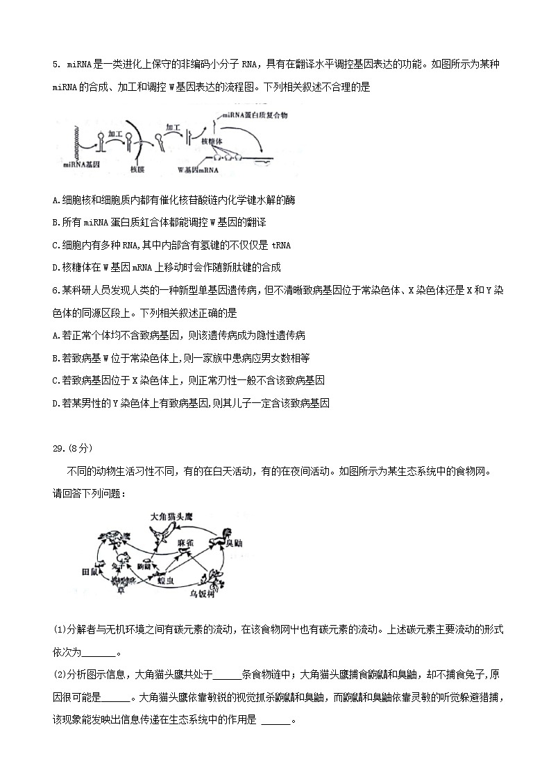 2019届安徽省“皖江名校联盟”高三5月联考试题 理科综合 word版第2页