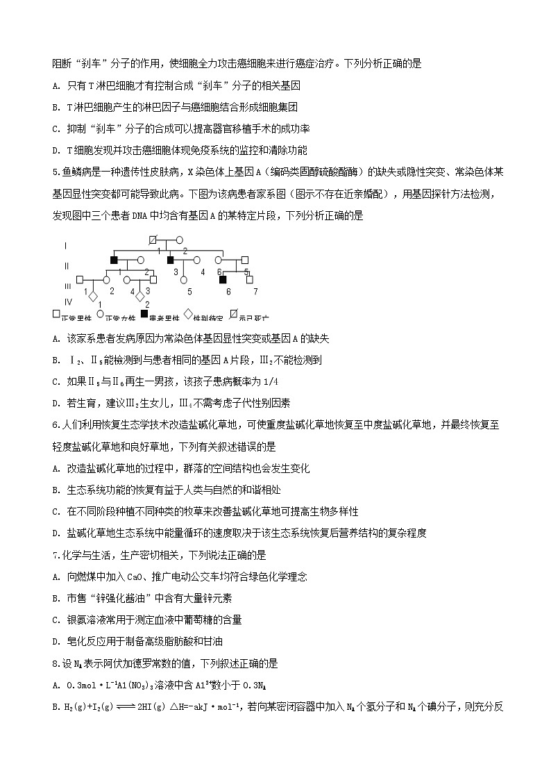 2019届安徽省定远重点中学高三下学期第三次模拟考试理科综合试题（word版）02