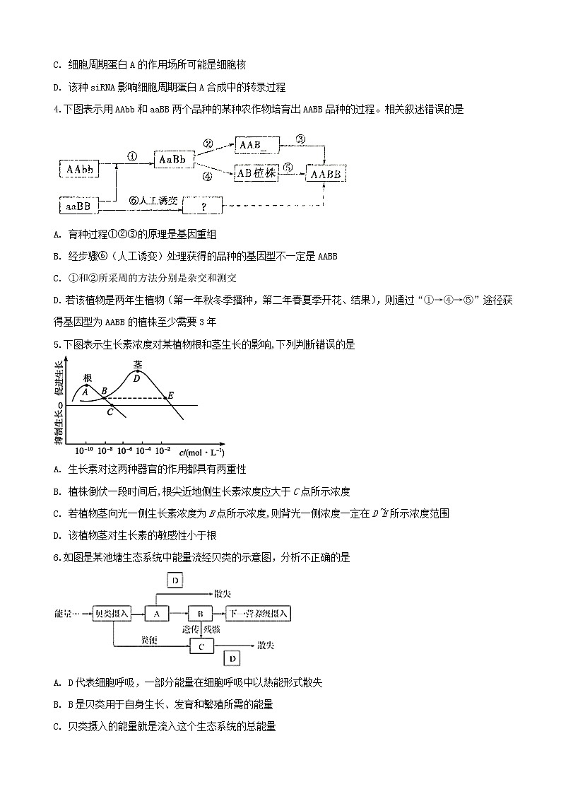 2019届安徽省定远重点中学高三下学期第一次模拟考试理科综合试题（word版）02