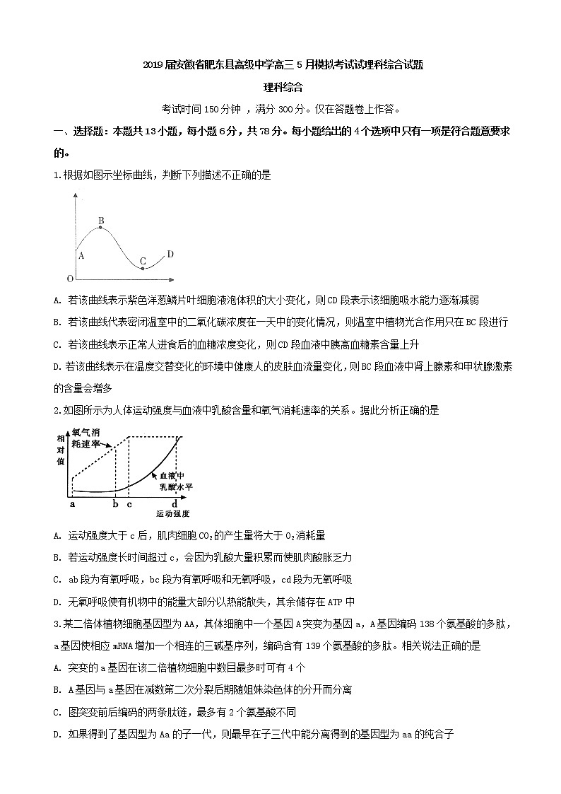 2019届安徽省肥东县高级中学高三5月模拟考试试理科综合试题01