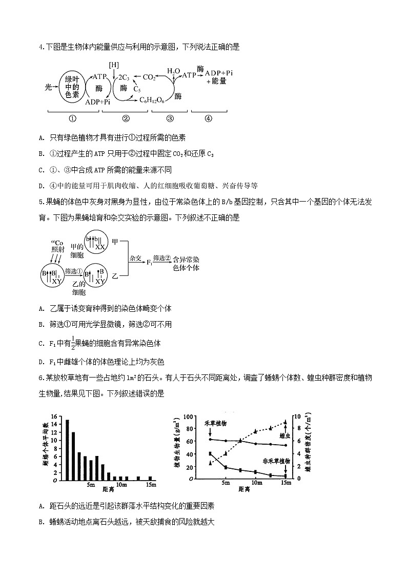 2019届安徽省肥东县高级中学高三5月模拟考试试理科综合试题02