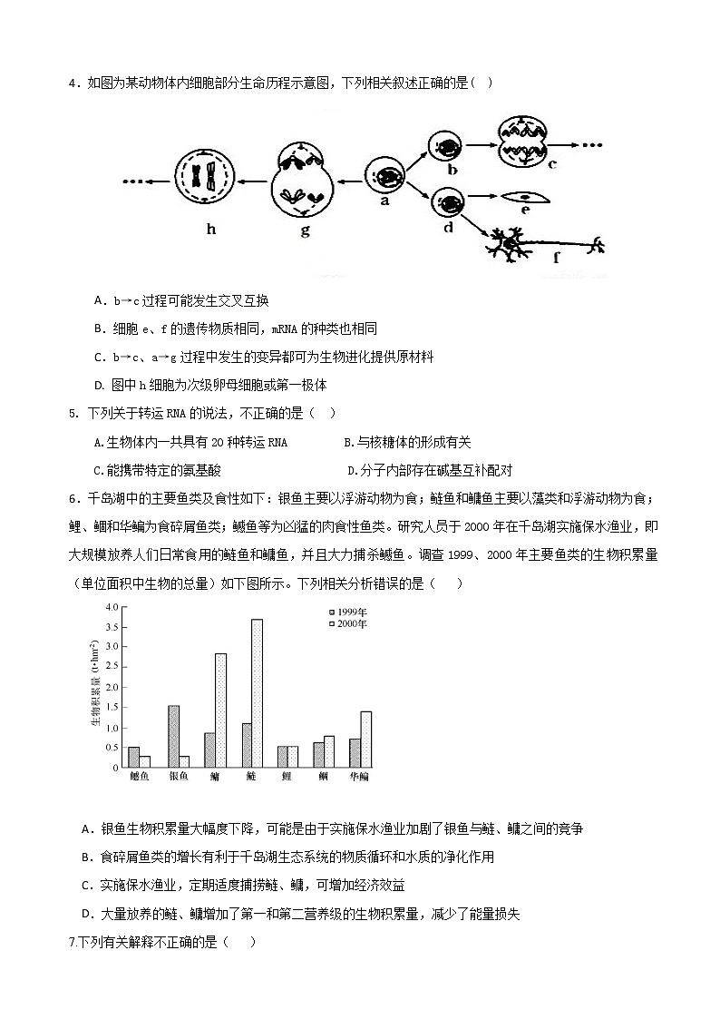 2019届安徽省六安市第一中学高三高考模拟（四）理科综合试题02
