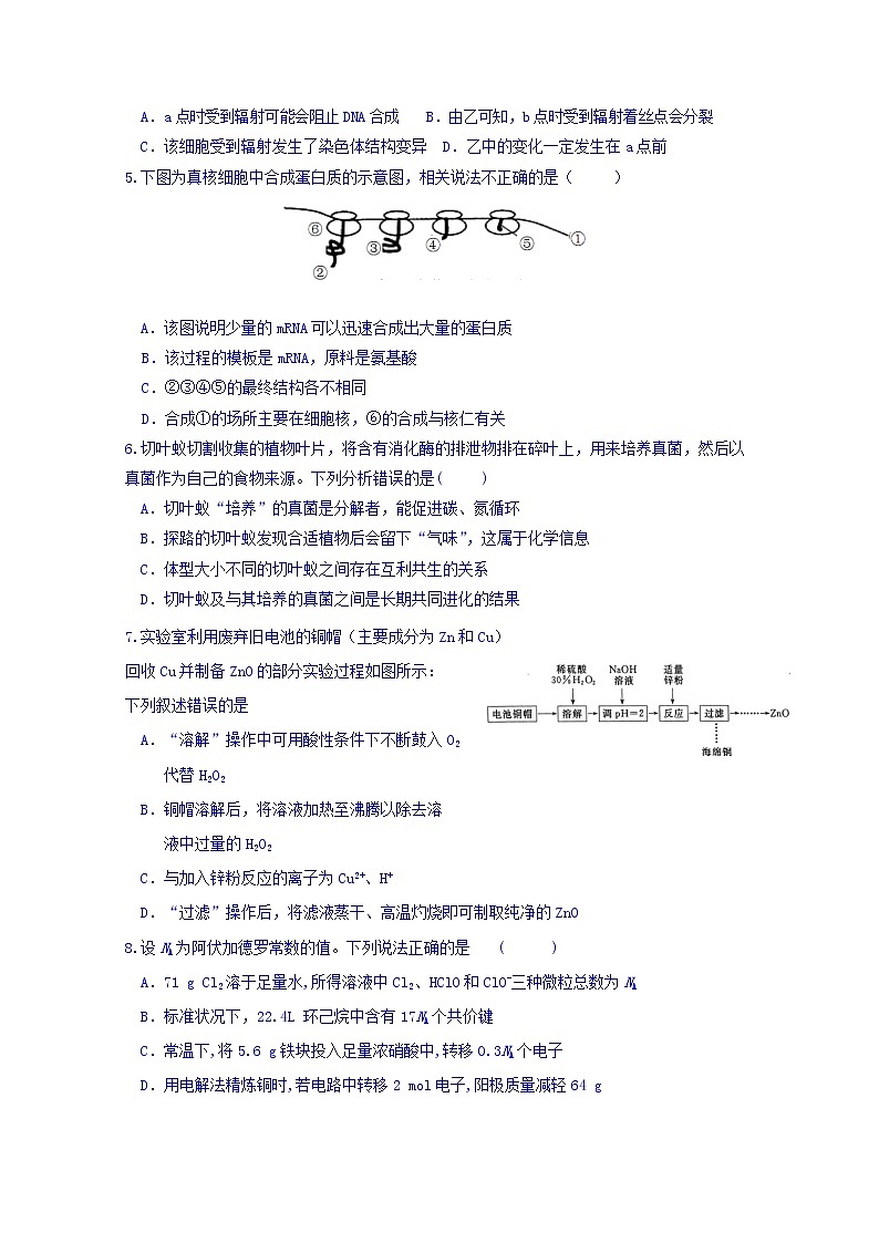 2019届安徽师范大学附属中学高三5月考前适应性检测 理科综合试题 Word版含答案第2页