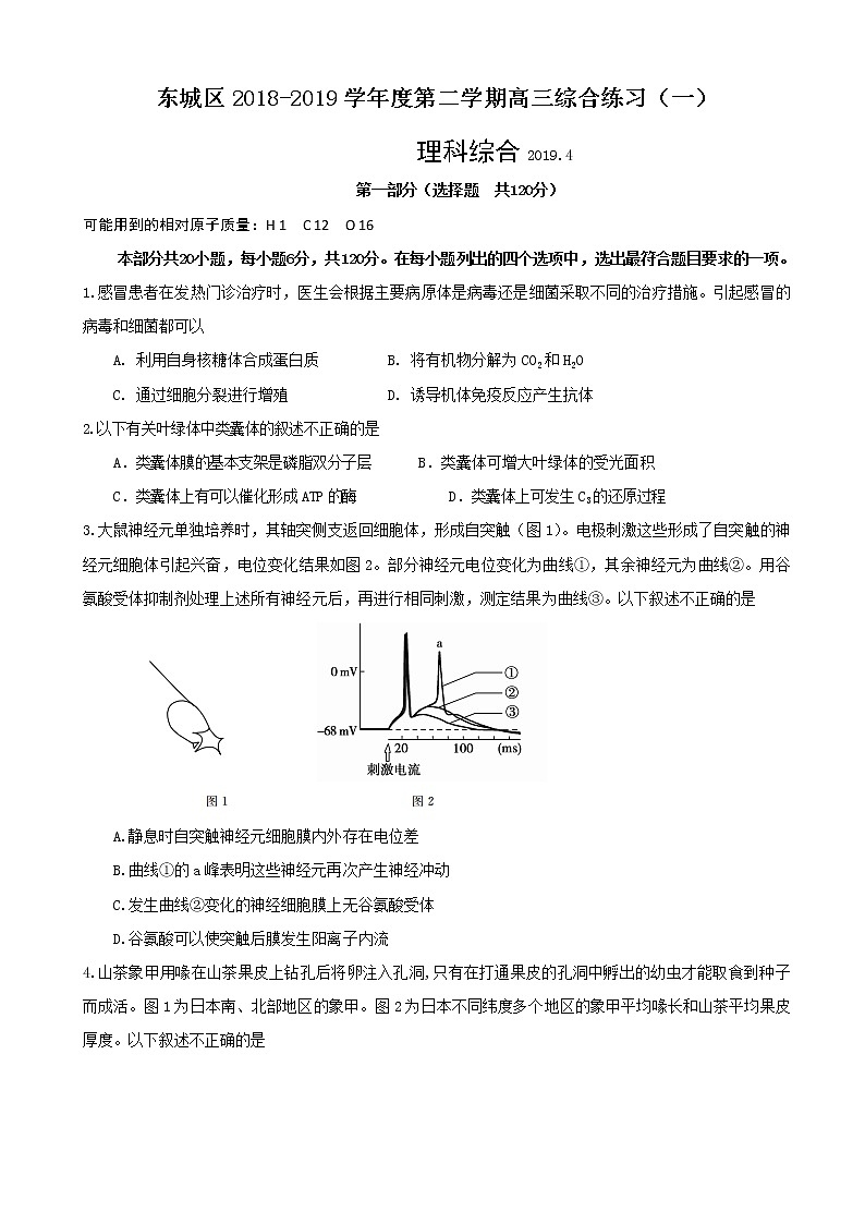 2019届北京市东城区高三4月综合练习（一模）理科综合试题（word版）01