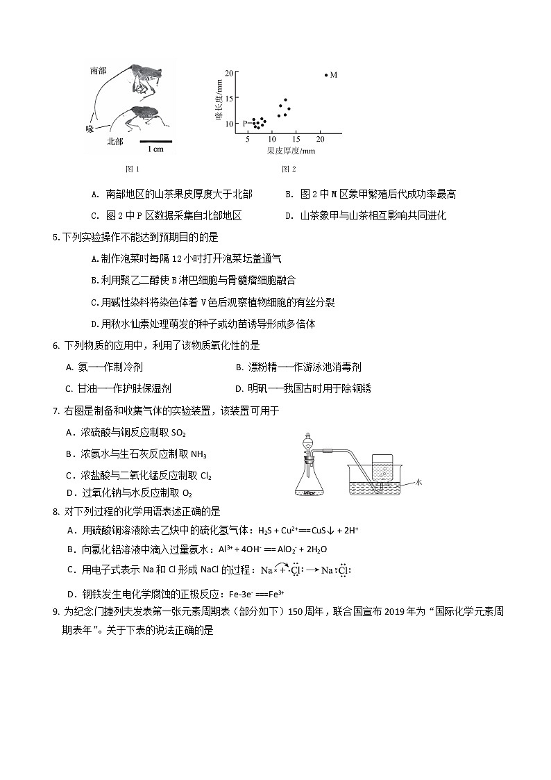 2019届北京市东城区高三4月综合练习（一模）理科综合试题（word版）02