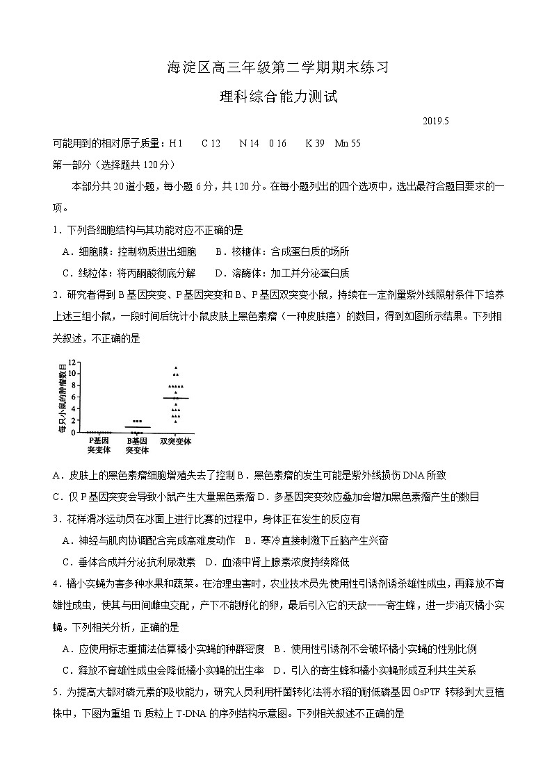 2019届北京市海淀区高三5月期末练习（二模）理科综合试题 word版01