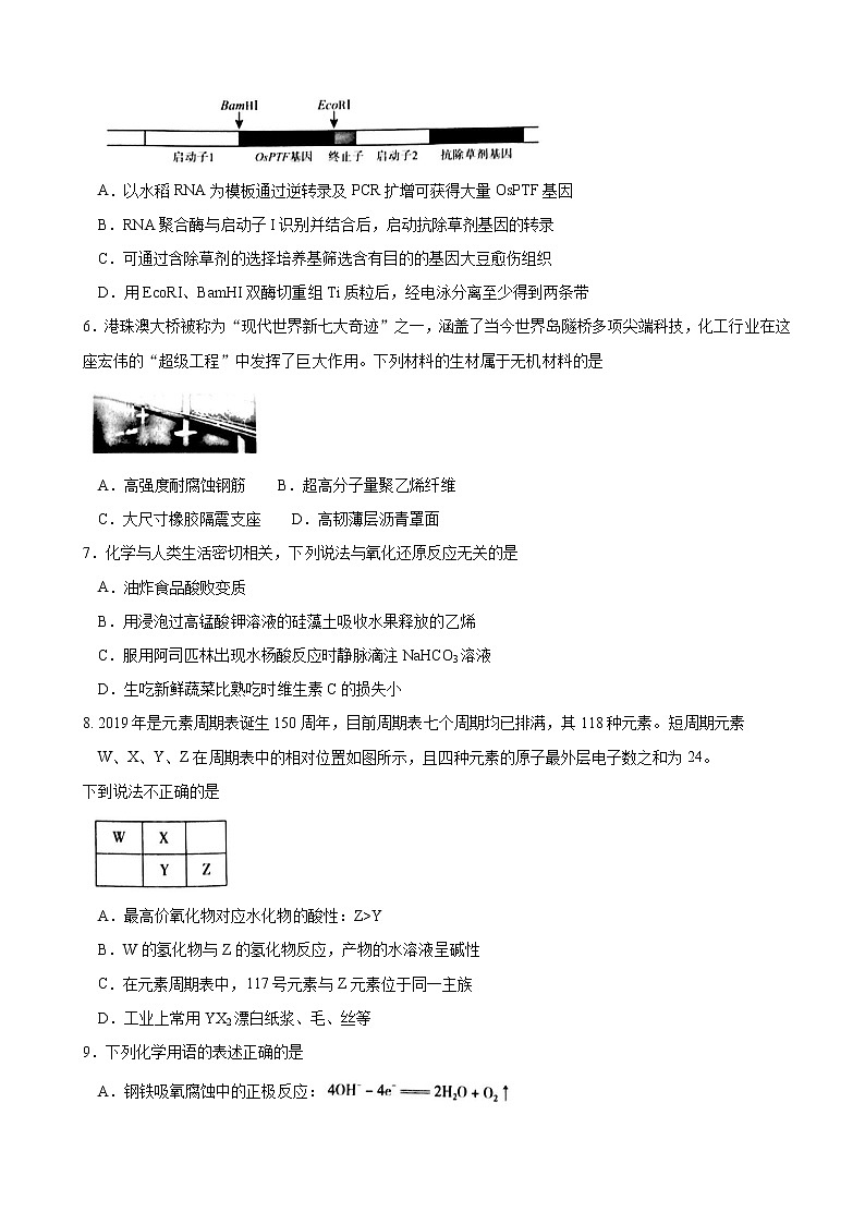 2019届北京市海淀区高三5月期末练习（二模）理科综合试题 word版02