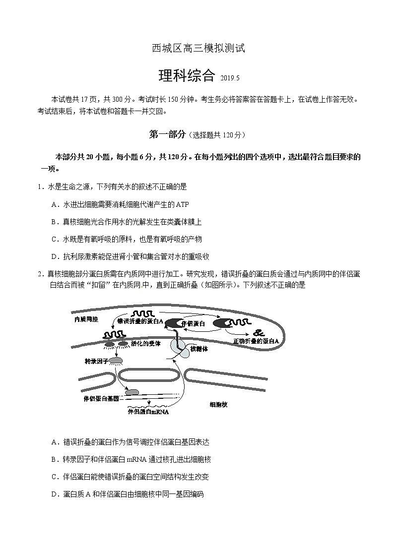 2019届北京市西城区高三二模理科综合试题01