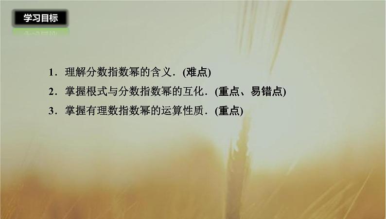 2019届二轮复习指数与指数幂的运算课件（28张）第2页