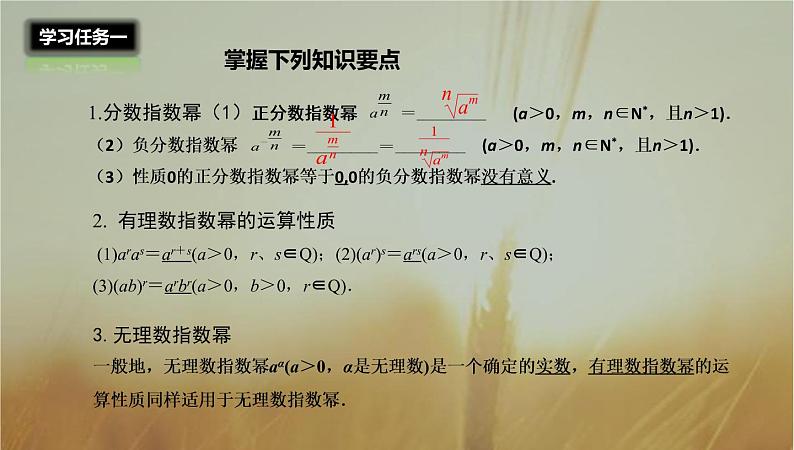 2019届二轮复习指数与指数幂的运算课件（28张）第3页