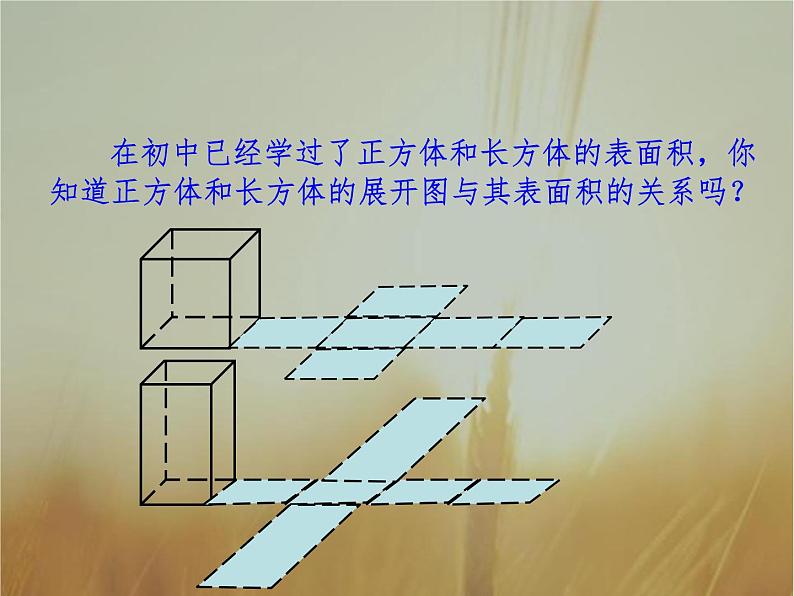 2019届二轮复习柱体、椎体、台体的表面积与体积课件（34张）（全国通用）第1页