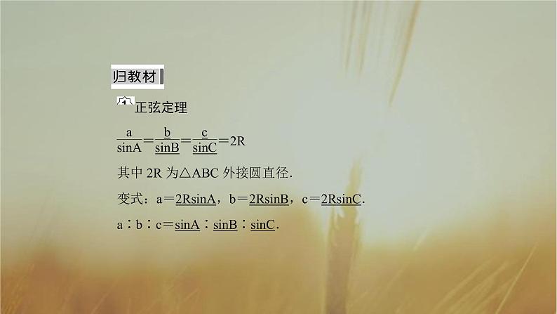 2019届二轮复习正余弦定理课件（52张）第4页