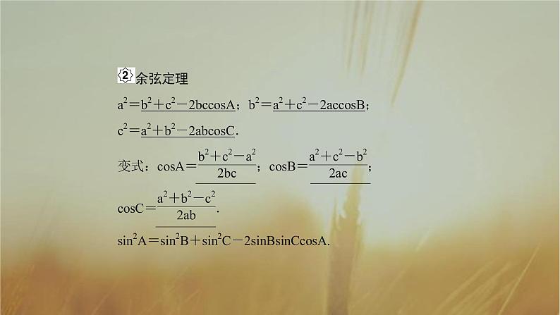 2019届二轮复习正余弦定理课件（52张）第5页