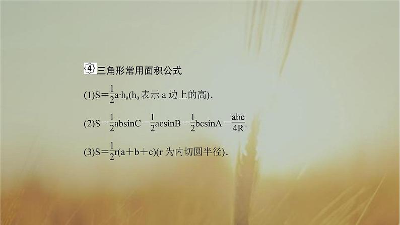 2019届二轮复习正余弦定理课件（52张）第8页