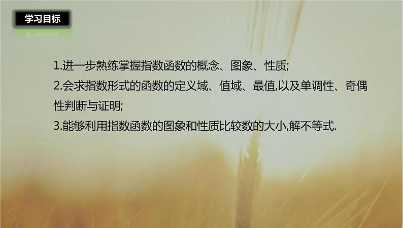 2019届二轮复习指数函数及其性质课件（25张）02