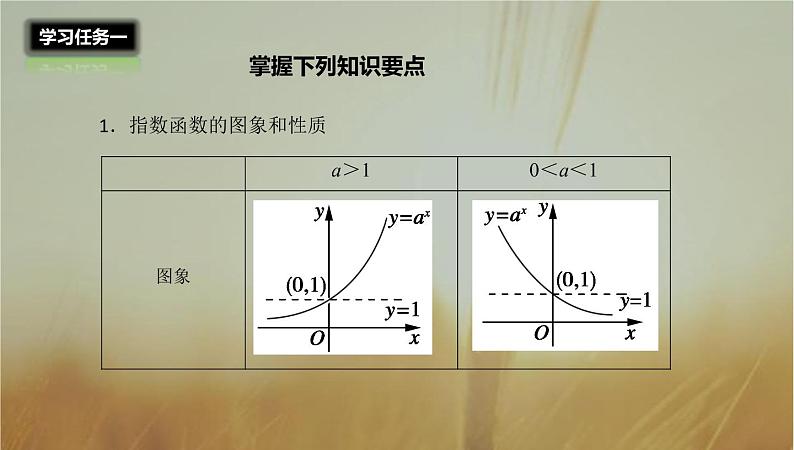 2019届二轮复习指数函数及其性质课件（25张）03