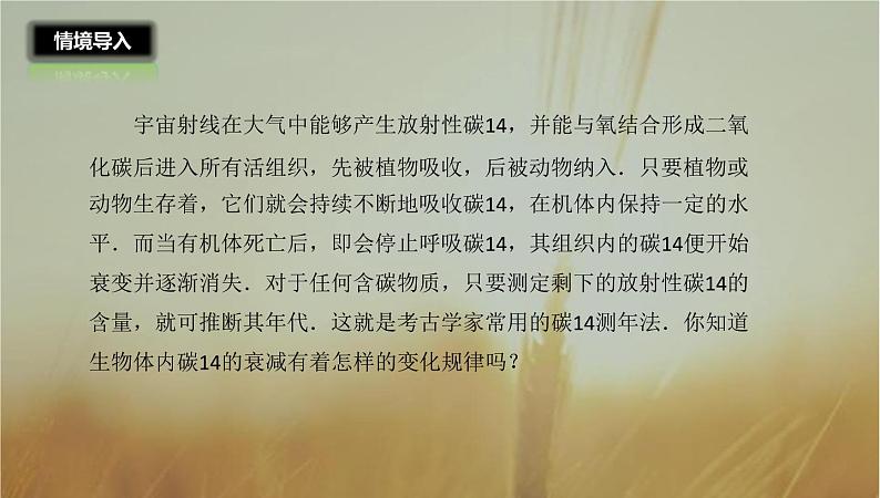 2019届二轮复习指数函数及其性质课件（25张）06