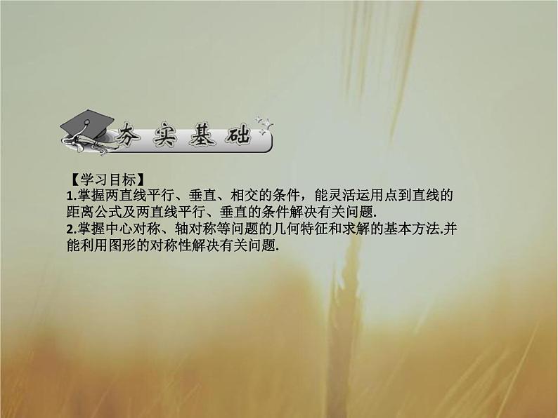 2019届二轮复习两条直线的位置关系与对称问题课件（49张）（全国通用）第2页