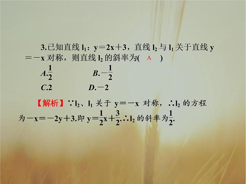 2019届二轮复习两条直线的位置关系与对称问题课件（49张）（全国通用）第5页