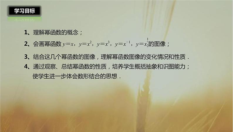 2019届二轮复习幂函数课件（29张）02