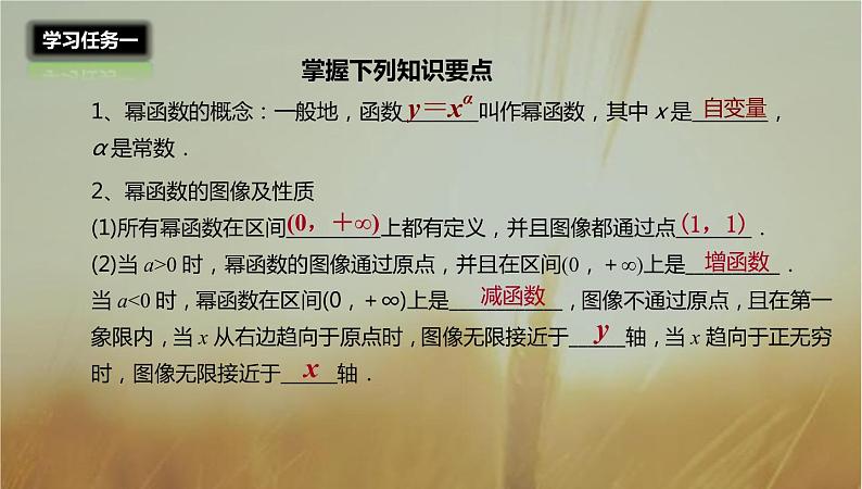 2019届二轮复习幂函数课件（29张）03