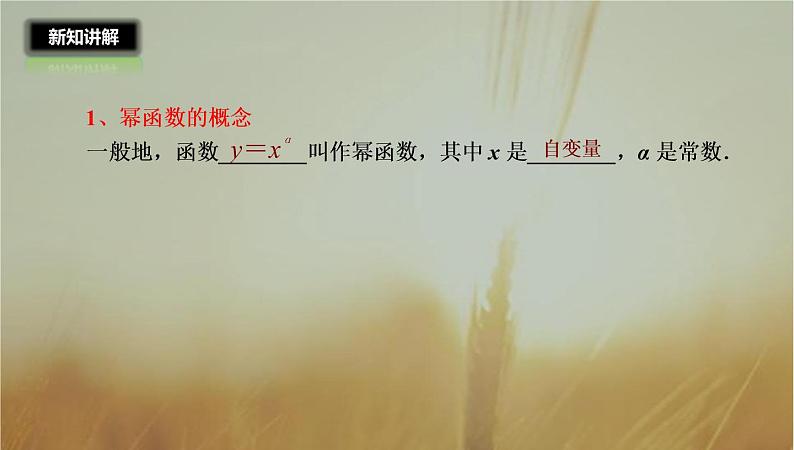 2019届二轮复习幂函数课件（29张）07
