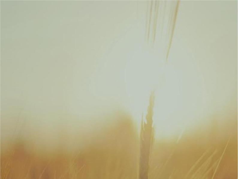 2019届二轮复习三角函数的图象与性质课件（59张）（全国通用）第4页