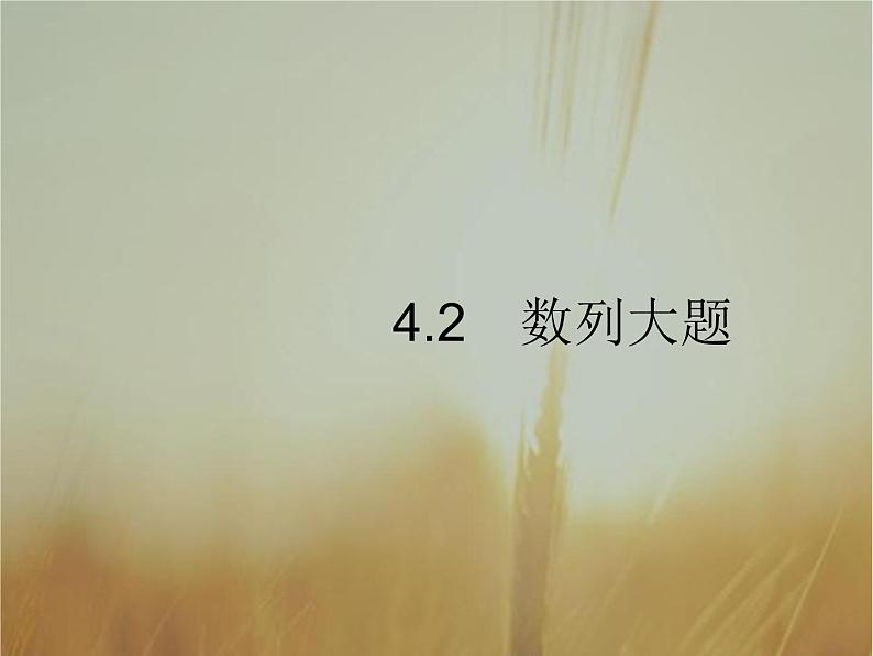 2019届二轮复习数列大题课件（27张）（全国通用）01