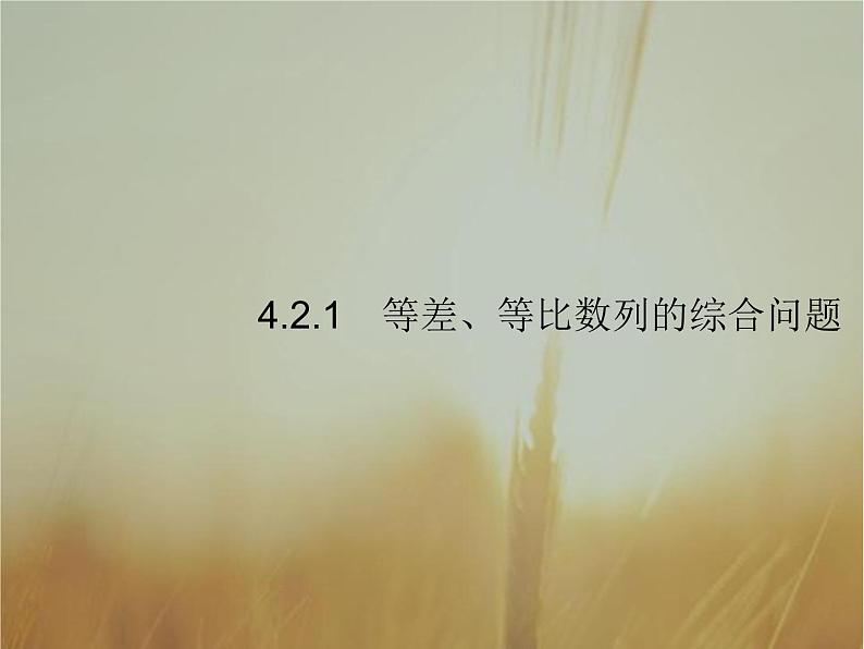 2019届二轮复习数列大题课件（27张）（全国通用）07